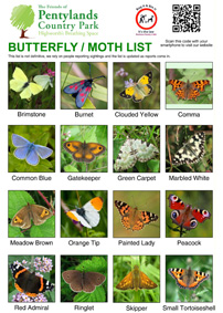 butterfly_moth_list_small