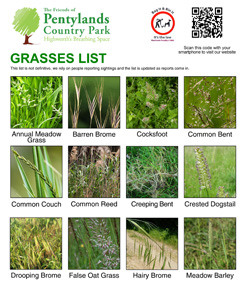 grasses_list_small